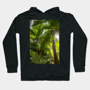 Nikau Palms. Hoodie